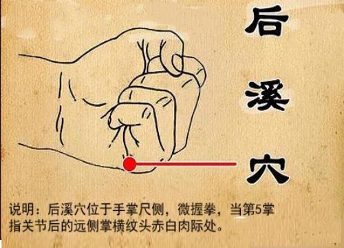 最新養生項目，探索健康的新領域
