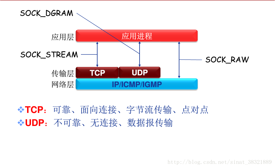 最新代理服務器IP的應用與發展趨勢分析