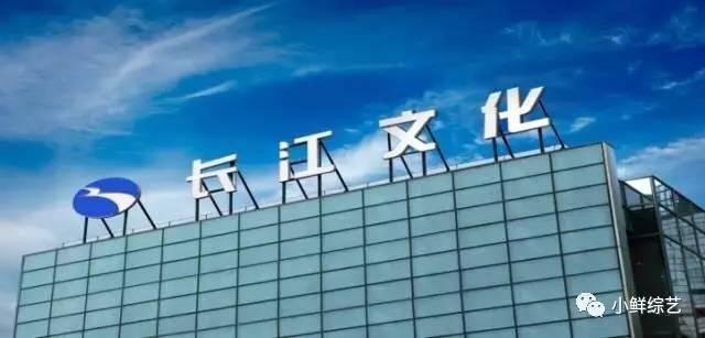 長江傳媒最新消息，引領行業變革，塑造未來媒體生態