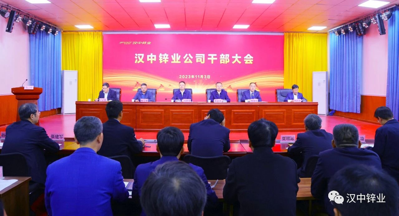 漢中鋅業(yè)最新消息深度解析