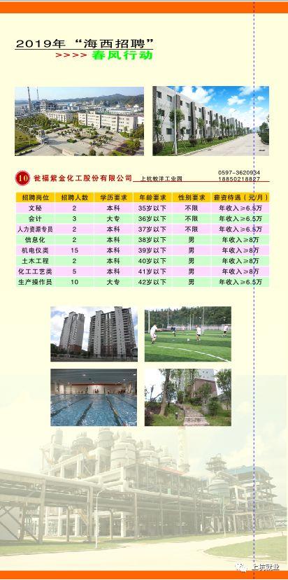 陳村最新招聘信息概覽