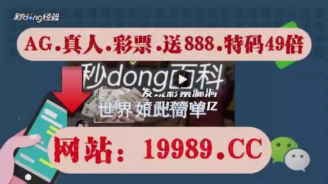 2024年澳門開獎結果,專家解析說明_簡便版76.844