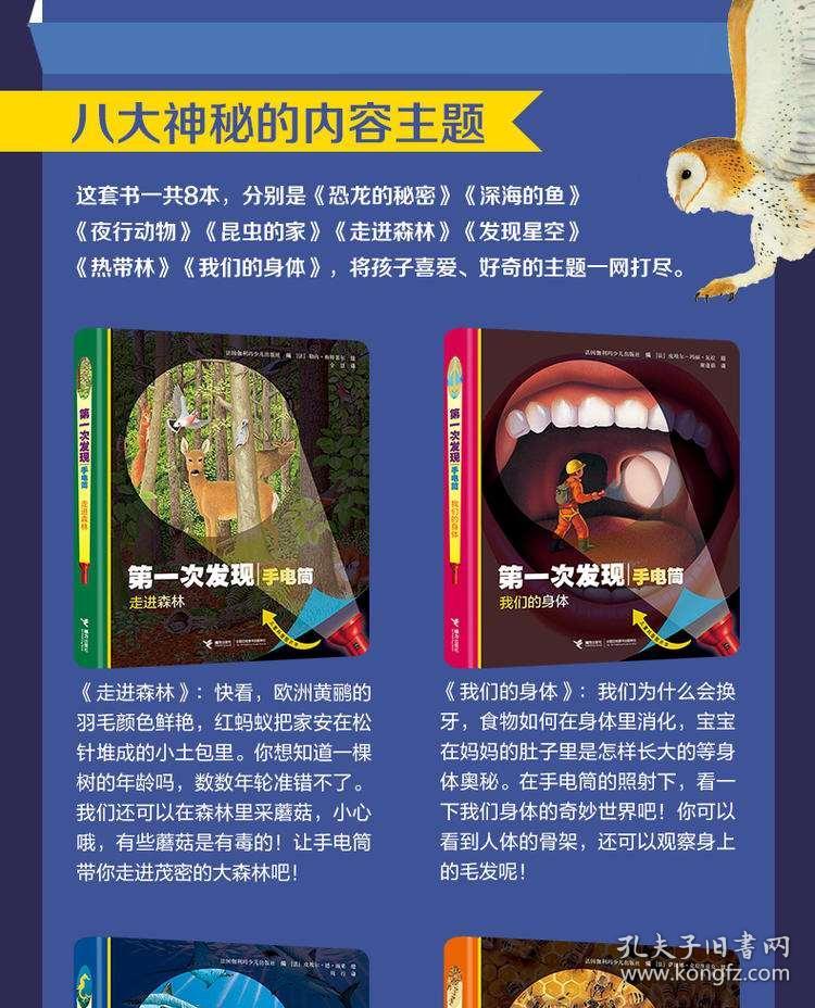 紫電雷尊 第17頁