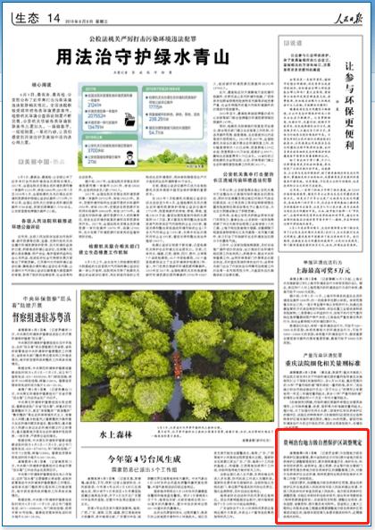 千羽玄女 第20頁