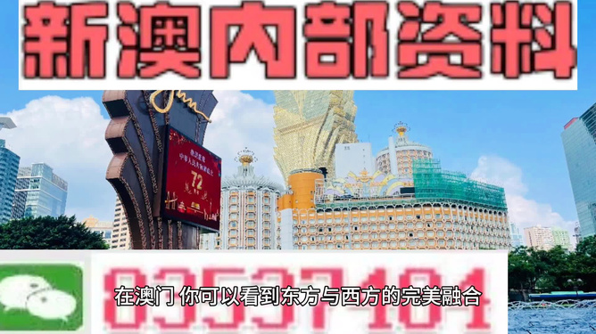 新澳2024正版免費資料，探索與啟示