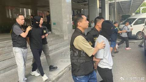 澳門王中王一肖一特一中，揭示違法犯罪背后的真相