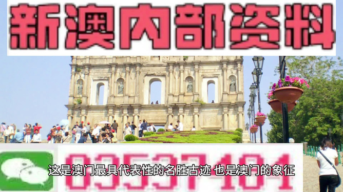 新澳門最精準正最精準龍門，探索與解讀