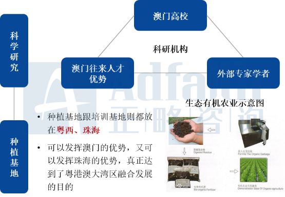 2024新澳最精準資料大全，探索最新數據與趨勢的綜合指南