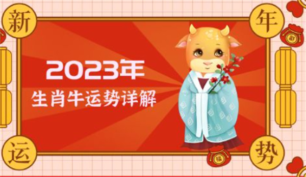 一肖一碼，探索數字與生肖的奧秘