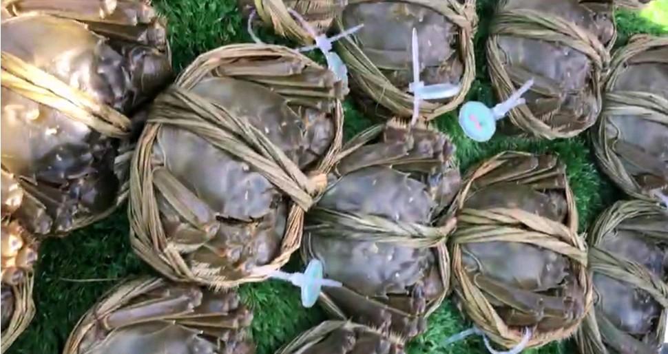 常州超市生鮮招租最新動態，市場趨勢與機遇分析