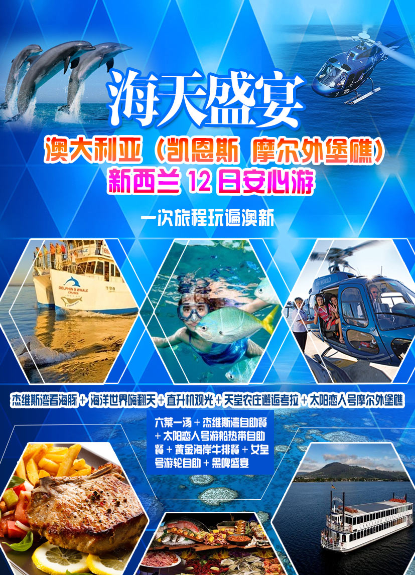 探索新澳精準正版資料免費的世界，無限可能與信息海洋的自由之旅