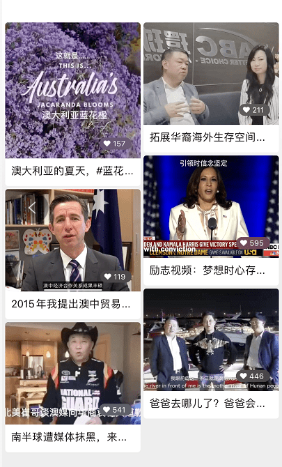 新澳天天彩正版資料的背后故事，揭示犯罪現象的警示錄