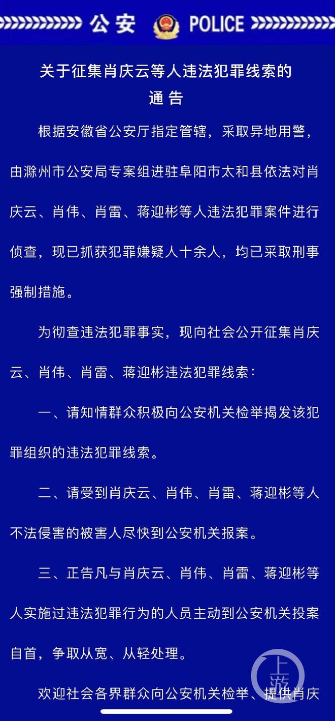 一肖一碼一一肖一子，揭示背后的違法犯罪問題