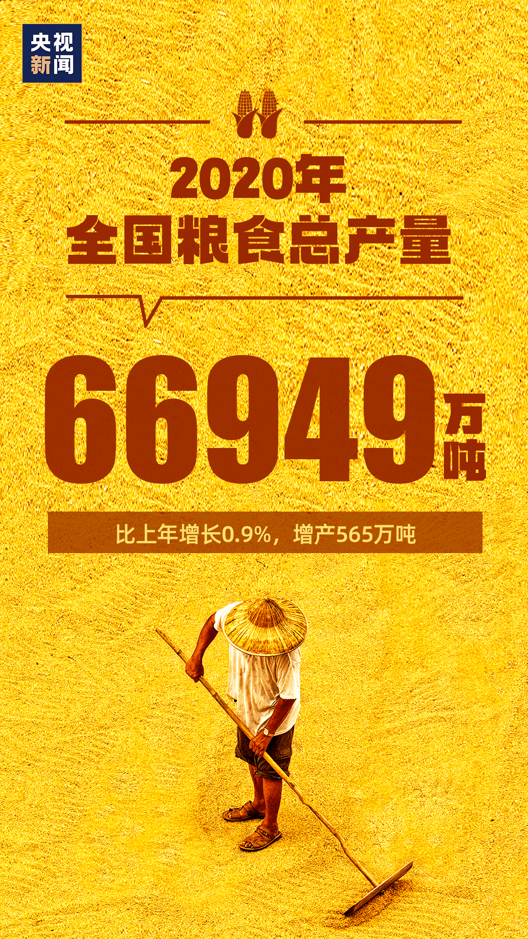 澳門天天開好彩正版掛牌，揭示背后的犯罪問題
