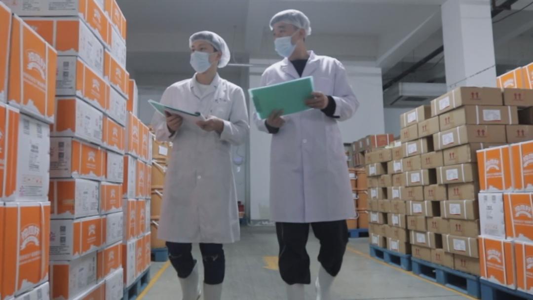 儋州最新地基出售——投資地產的新機遇