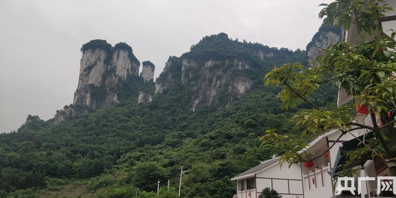 鳳凰網報道，揭秘數字背后的故事——王中王與神秘的數字組合7777788888
