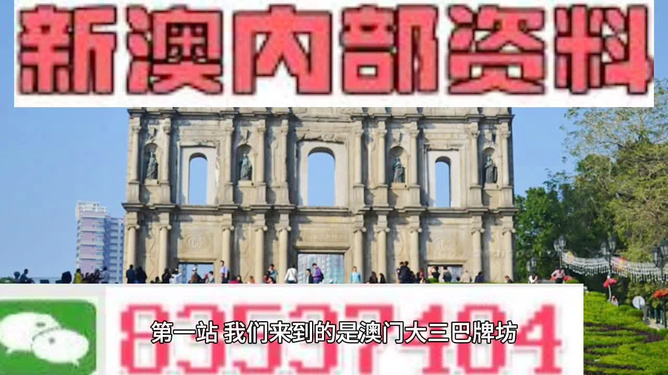 新澳門免費資料大全正版的背后，揭示違法犯罪問題