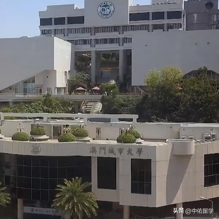 澳門今晚生肖預測，探尋未來的奧秘與娛樂的邊界（2024年）