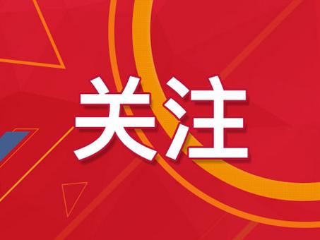 澳門精準資料大全免費使用，警惕背后的風險與挑戰