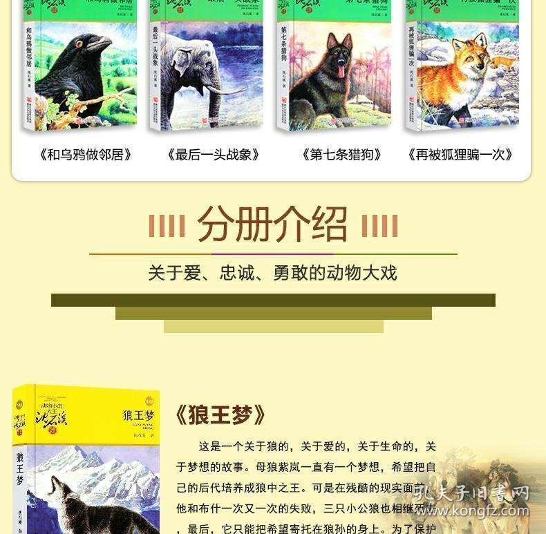 正版資料免費大全，探索與利用