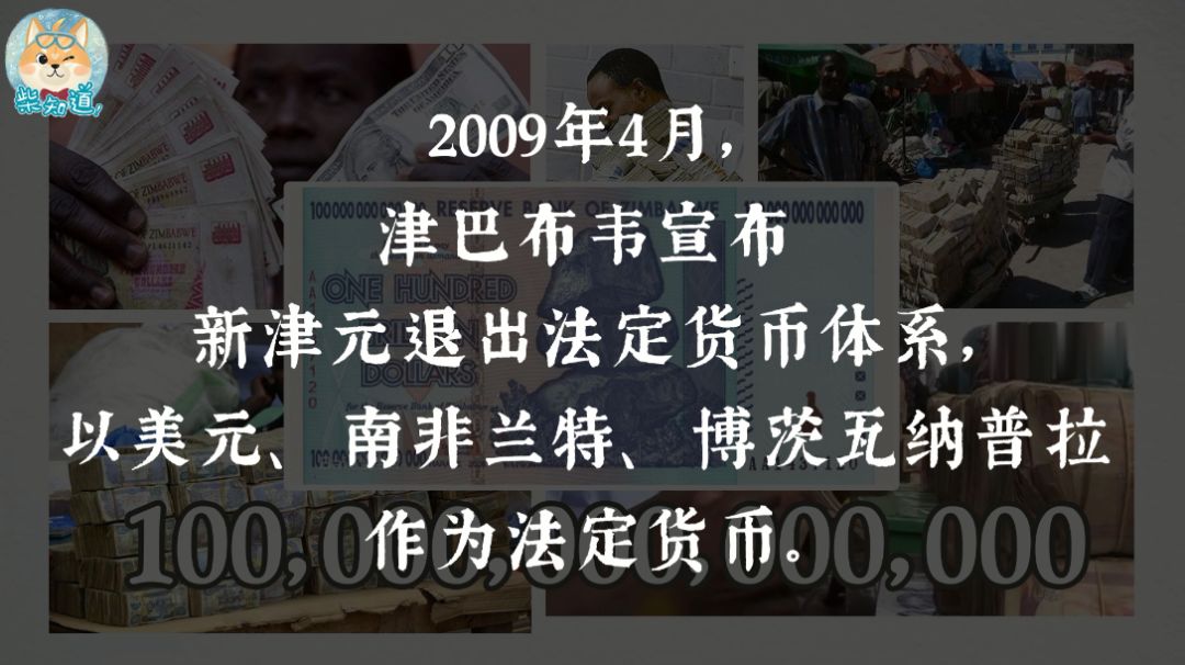 最新大富豪，揭秘成功背后的故事