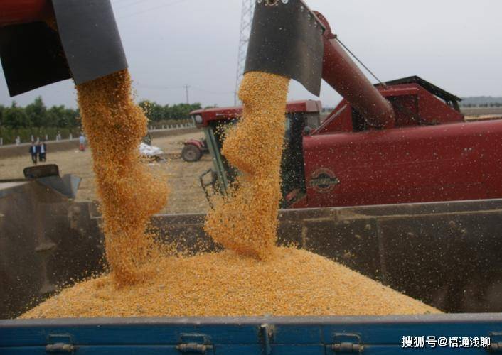 高價(jià)收購(gòu)糧食，聯(lián)系飛機(jī)運(yùn)輸?shù)纳虡I(yè)模式探討