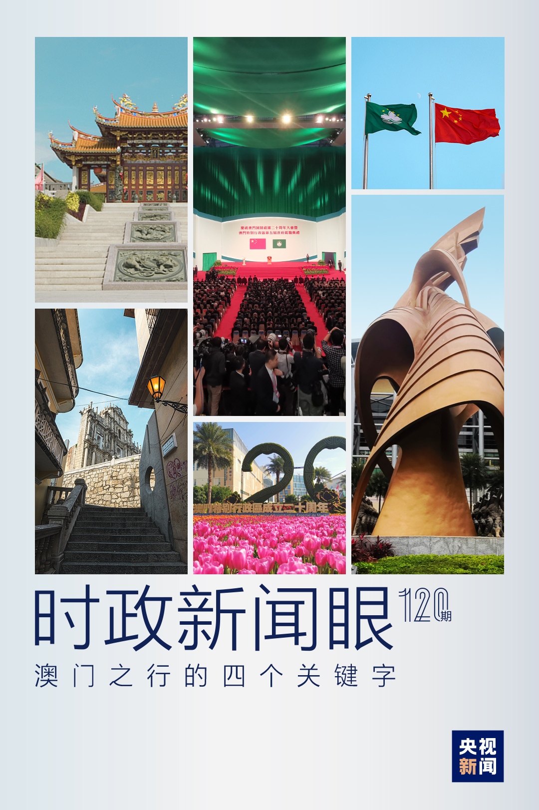 新澳門管家婆一句，探索背后的故事與意義