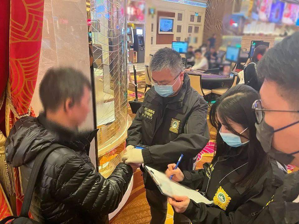 揭秘澳門六開獎，探尋未來的幸運之門——以2024年澳門六開獎結果為中心