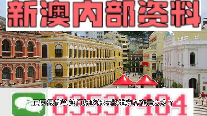 澳門最精準最準的龍門，探索與解析