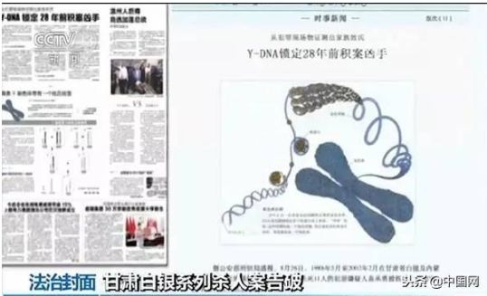 澳門三肖三淮與犯罪問題，揭示真相與警示社會