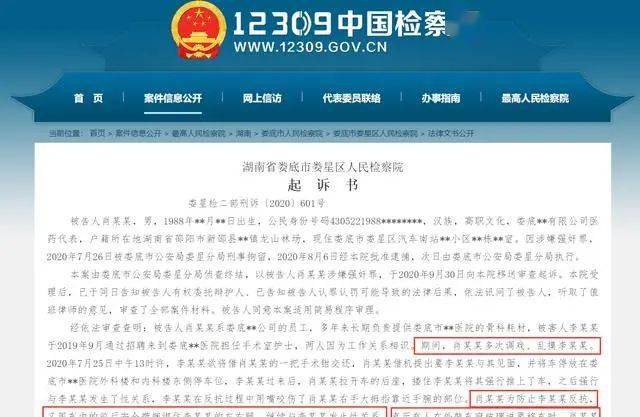 一肖一碼一一肖一子，揭示背后的違法犯罪問題