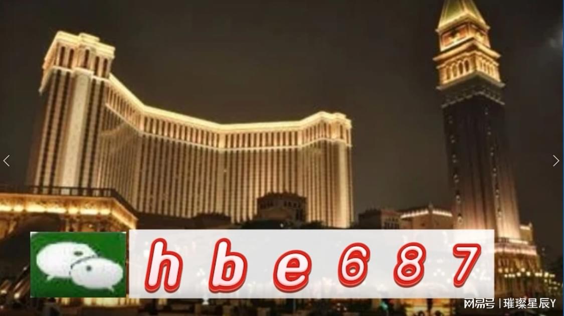 關于新澳2024年精準正版資料的探討——警惕違法犯罪問題