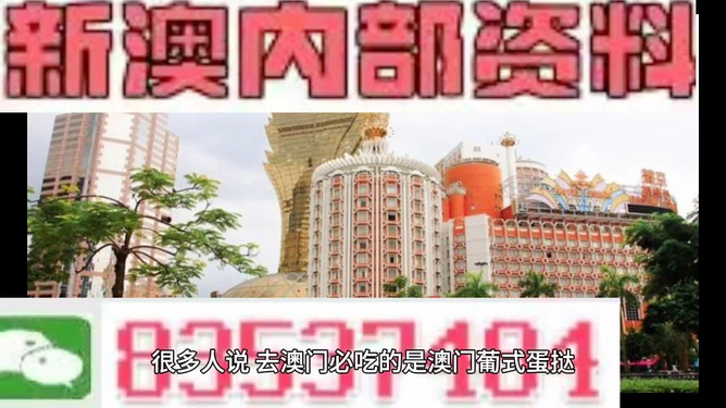 新澳門特免費資料大全與管家婆料，深度探索與解析