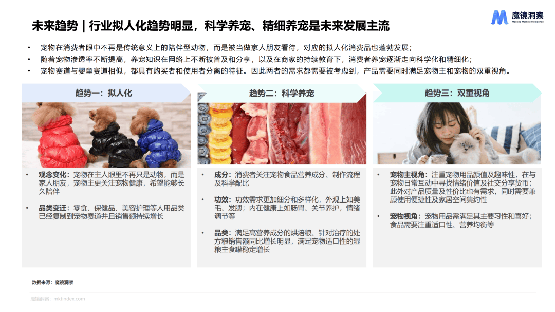 探索新奧門，揭秘免費資料的獨特價值（2024年展望）