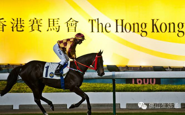 探索香港賽馬，2024全年免費(fèi)資料指南