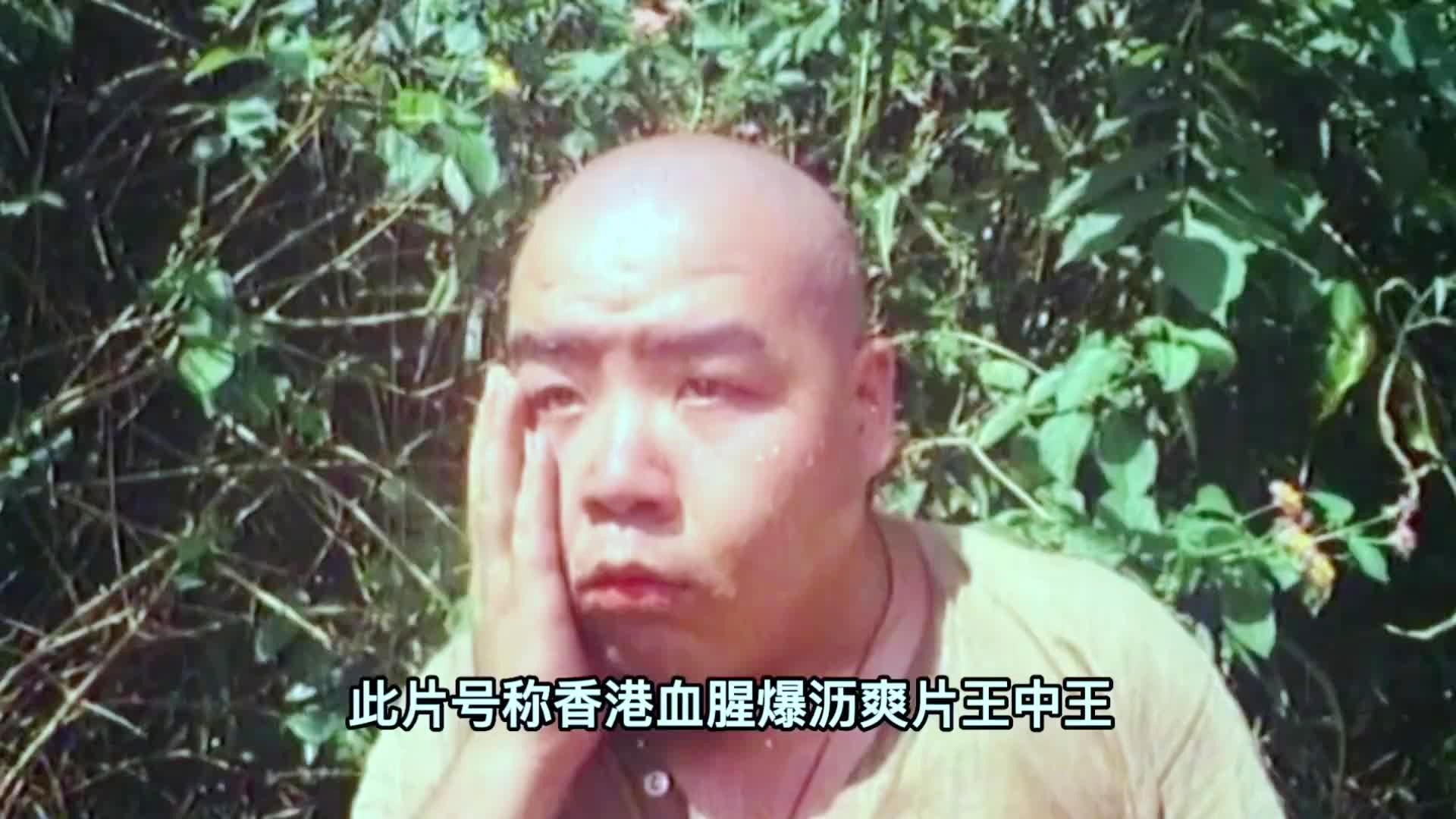 二四六王中王香港資料詳解