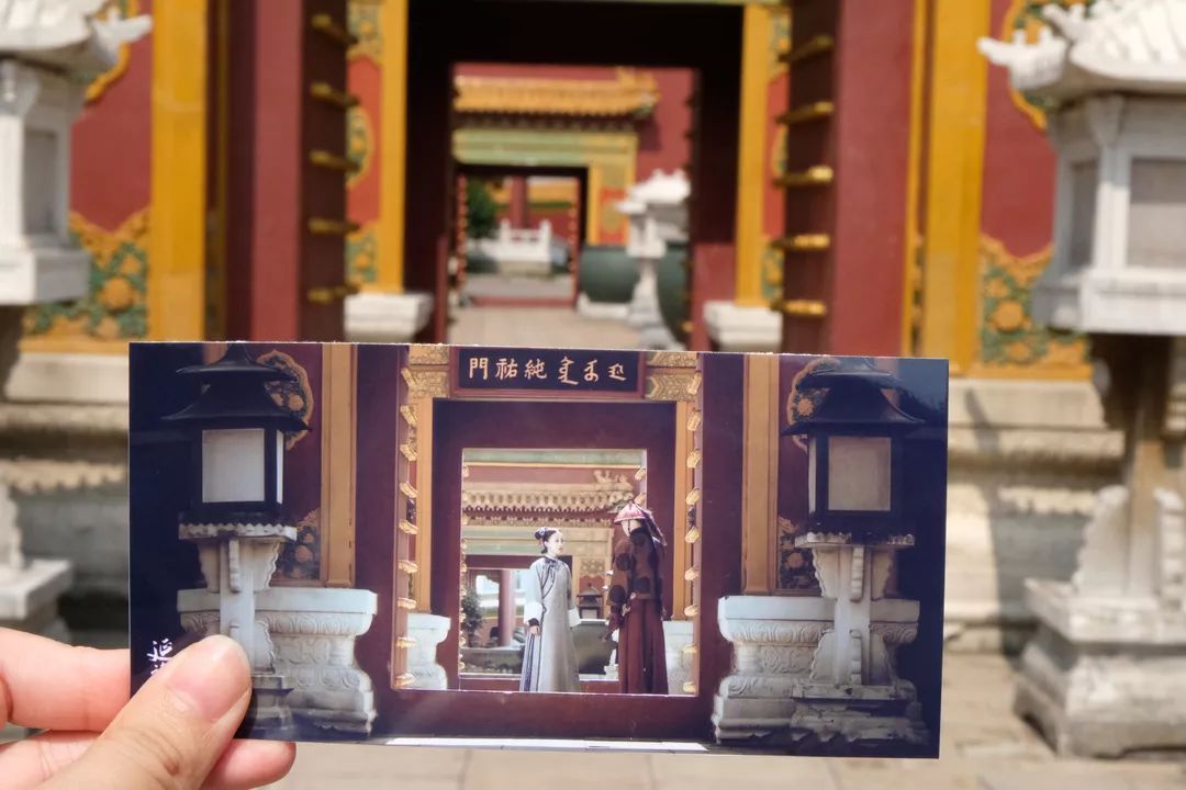 揭秘澳門彩票背后的秘密，新澳門天天開獎攻略與風(fēng)險警示