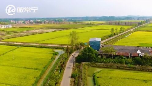 龍魂天王 第16頁