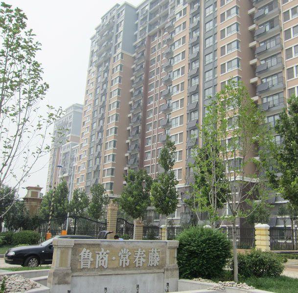 長清區常春藤最新招聘動態及其影響
