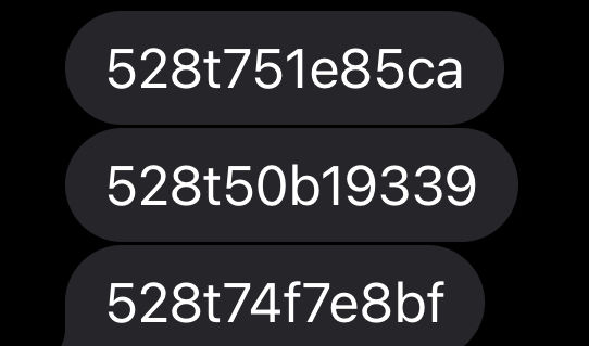 探索跑狗論壇版，777778與888888的神秘世界