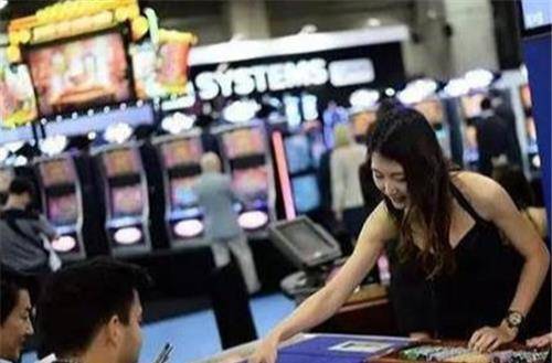 澳門一碼一碼100準(zhǔn)確掛牌，揭示背后的真相與警示公眾