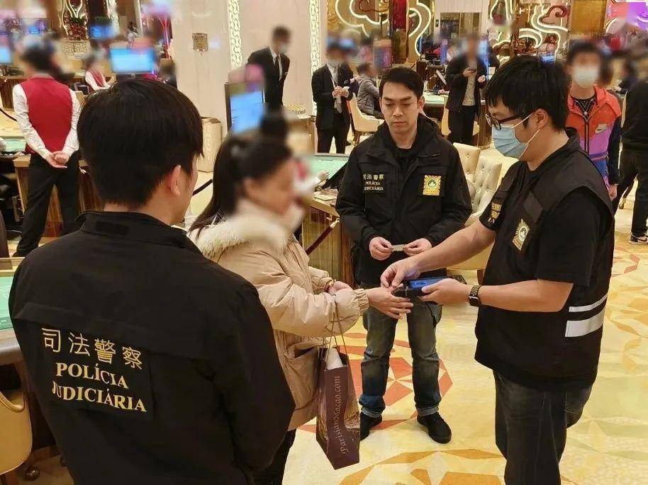 澳門王中王與犯罪問題，一個深入剖析的視角