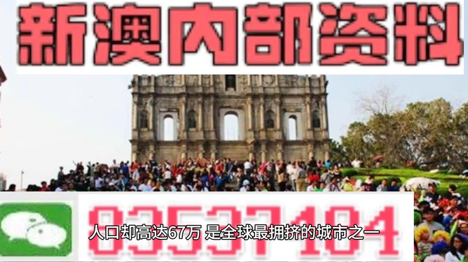 新澳門最新免費資料大全，探索與解讀