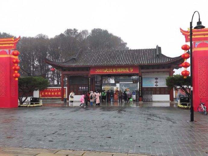 武漢街頭最新風(fēng)貌，活力四溢的現(xiàn)代都市韻味