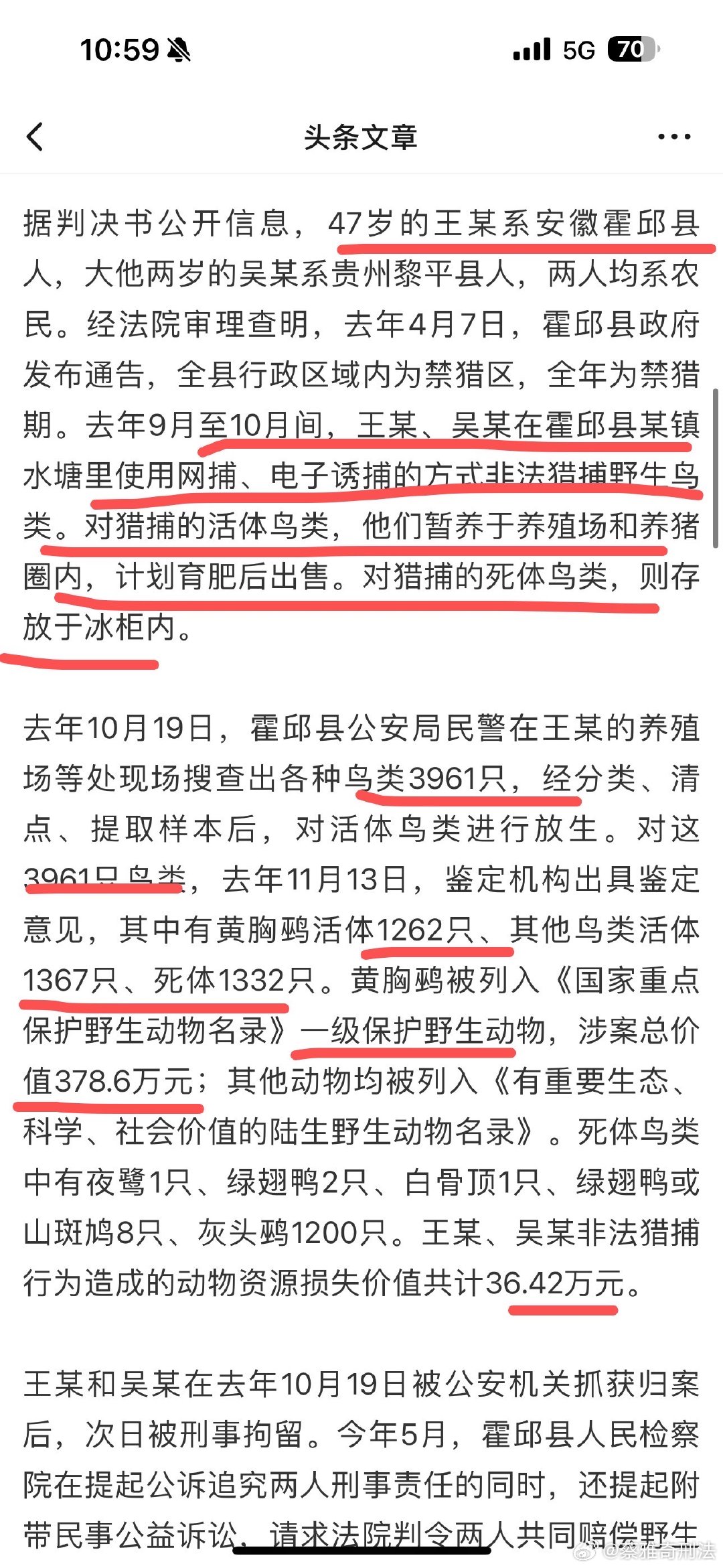 小鳥案最新進展與深度解析