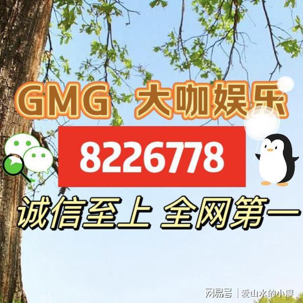 新奧好彩免費資料查詢，探索與發現之旅