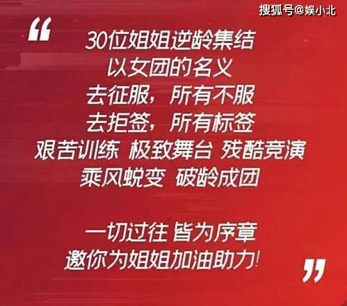 新澳門管家婆一句，揭示背后的智慧與奧秘