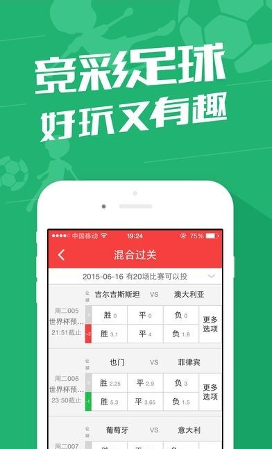管家婆204年資料正版大全——全面解析與深度探討