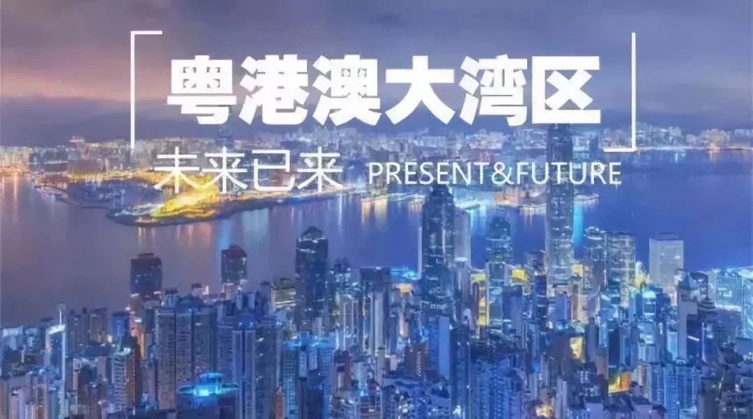 探索新澳資料大全，最新版本的亮點與特色