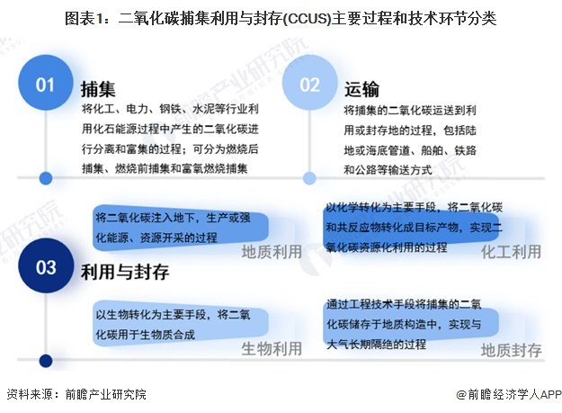 關于2024年11月份新病毒的研究與探討
